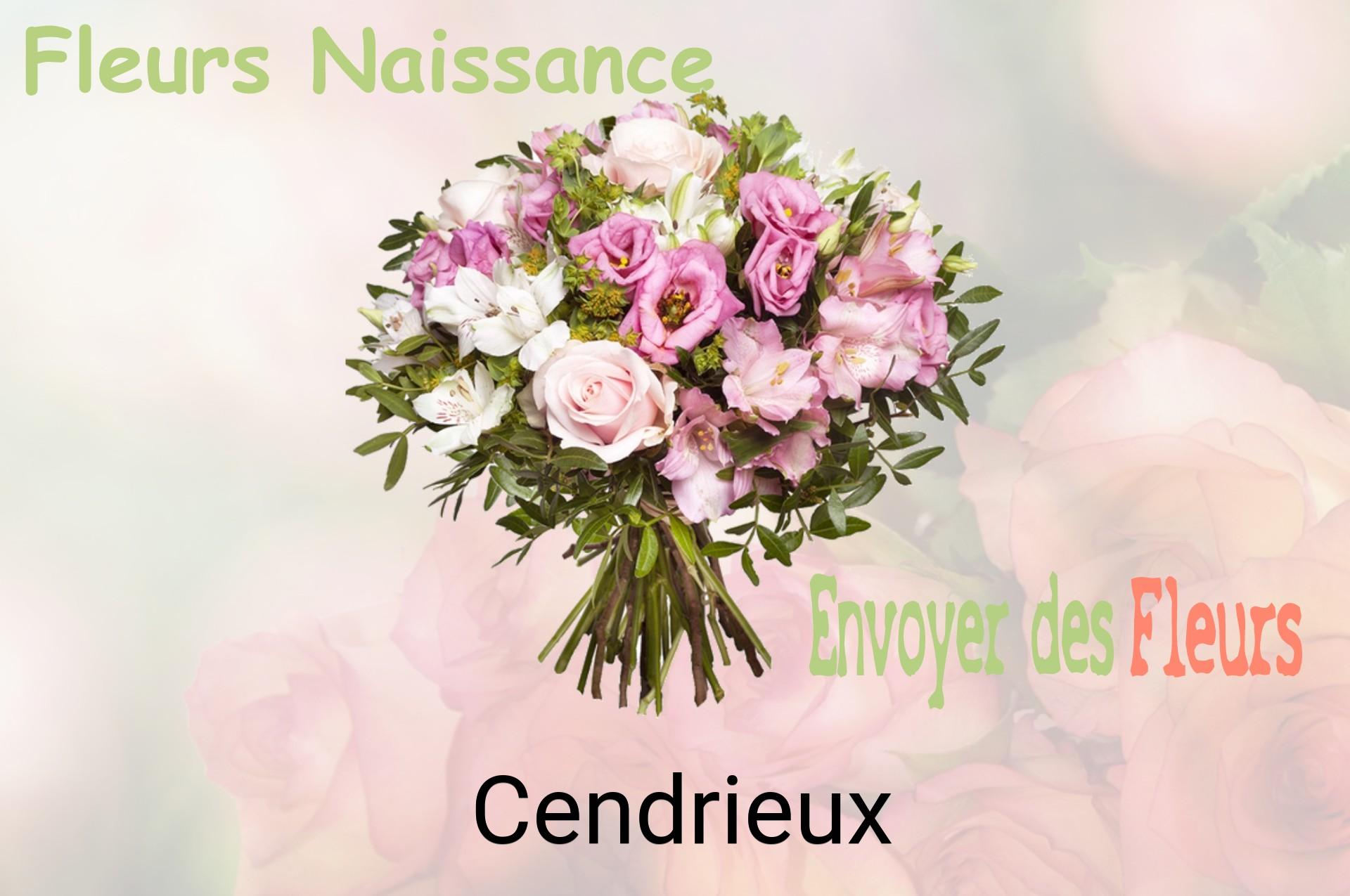 Bouquet de fleurs de naissance livré à Cendrieux